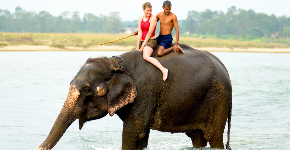 A female tourist in red enjoying elephant ride in the river at Chitwan National Park