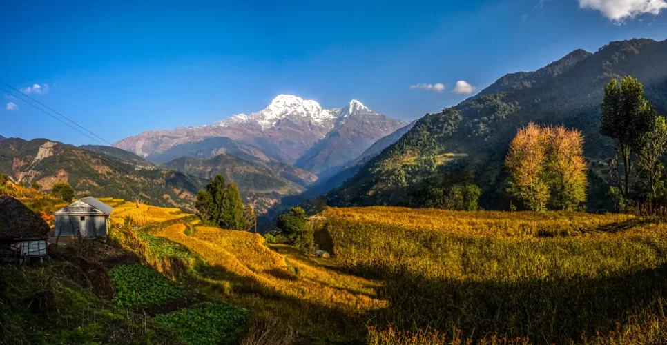 Annapurna