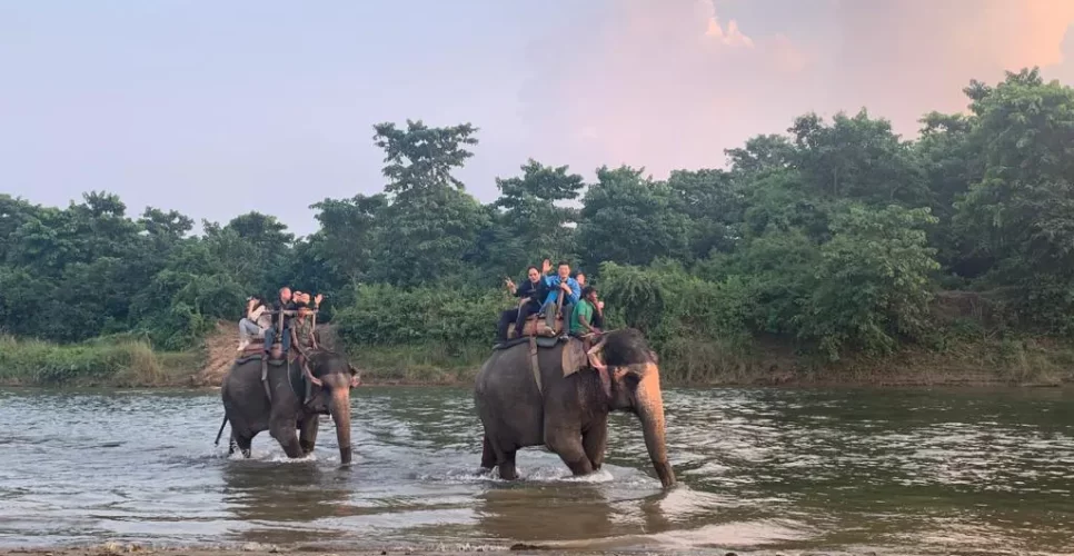 Elephant Safari at Chitwan