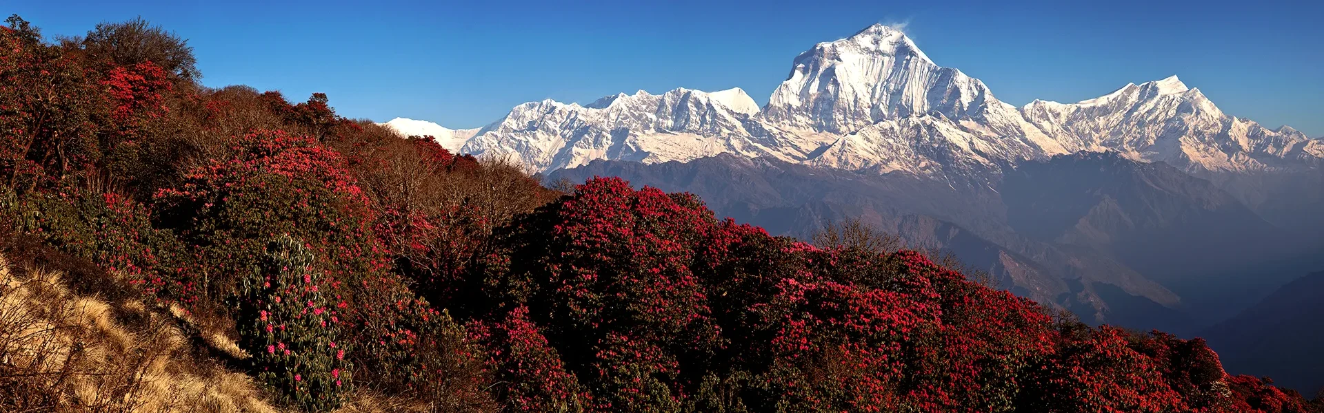 Nepal Adventure Tour