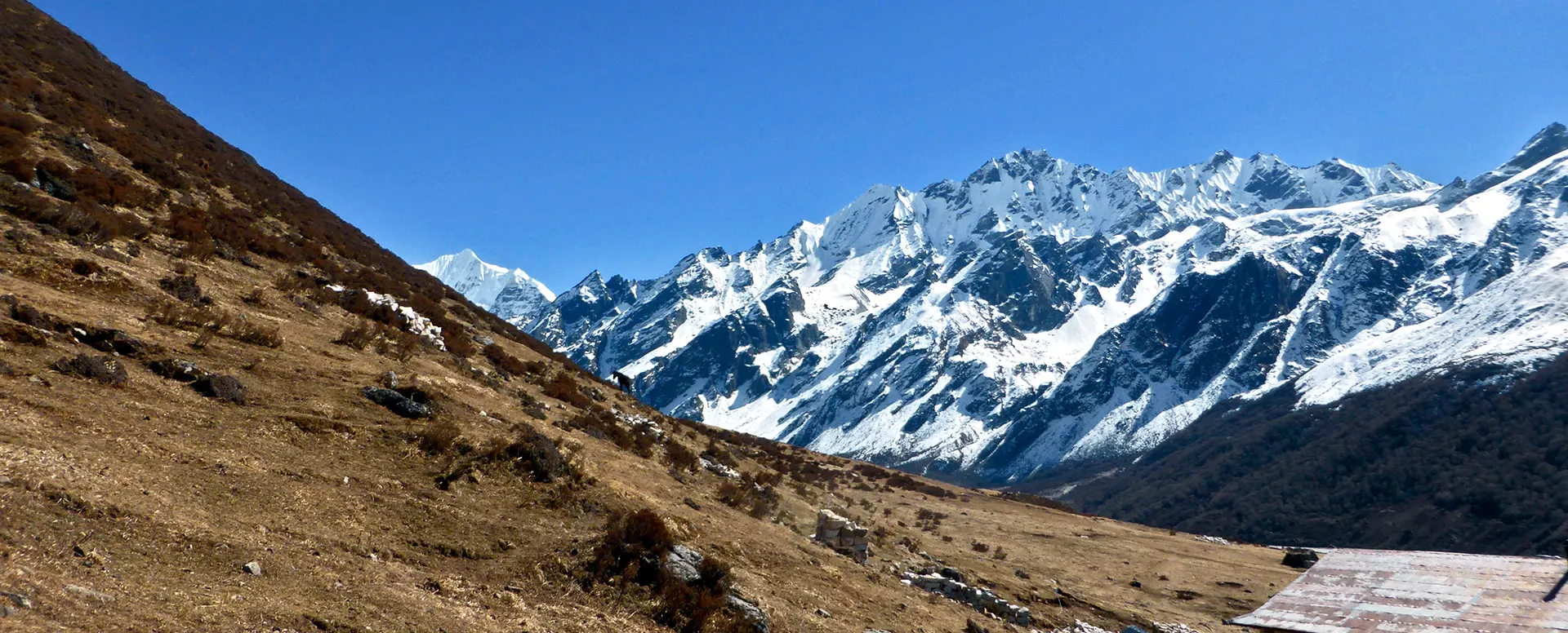 Tamang Heritate Trek