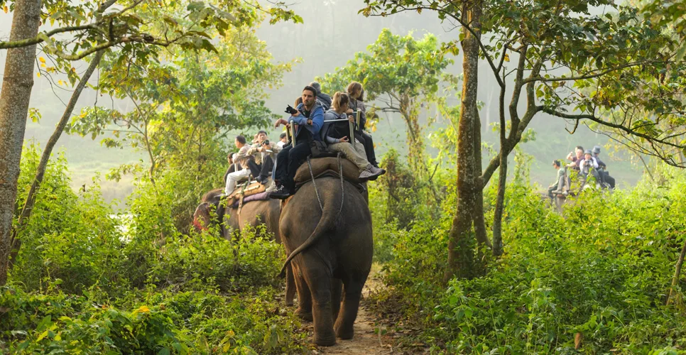 Elephant safari tour at Chitwan National Park