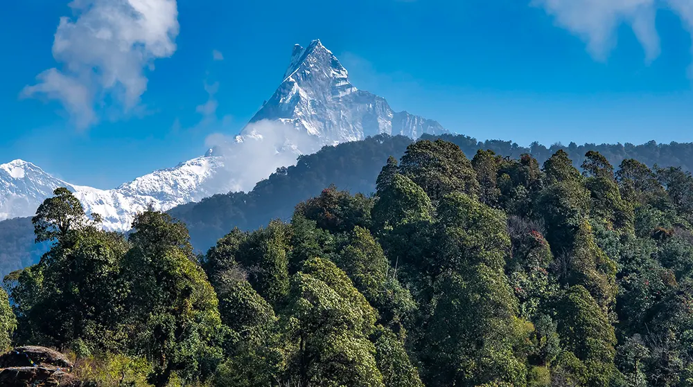 Mardi Himal Trekking
