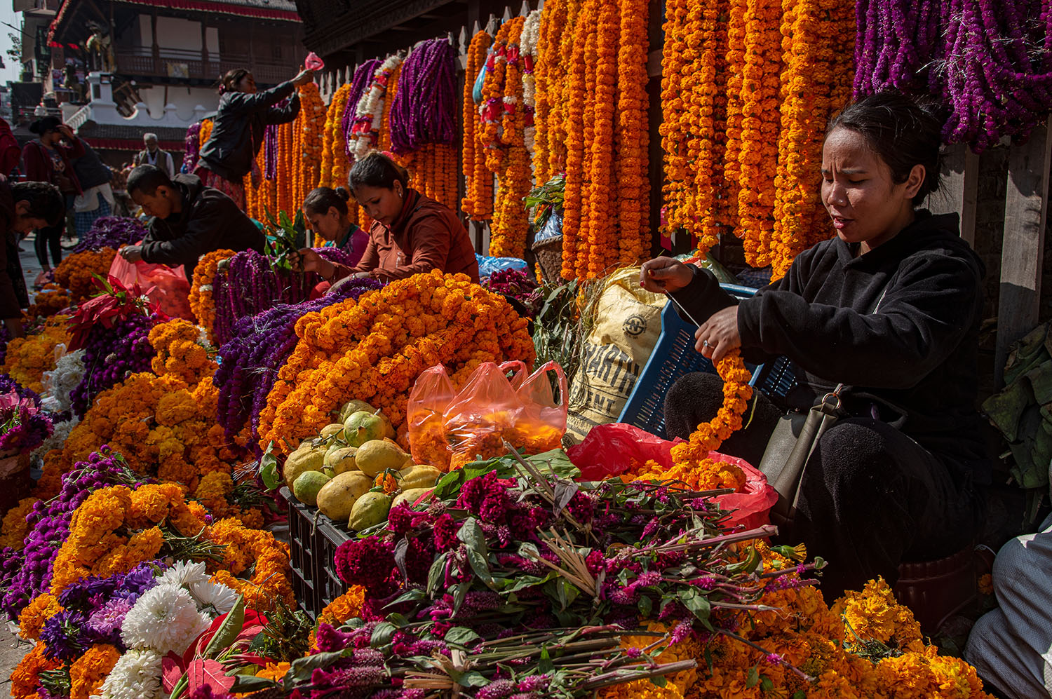 Tihar 2025: Festival of Lights in Nepal